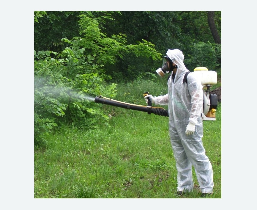 обработка территории от клещей в Гребнево