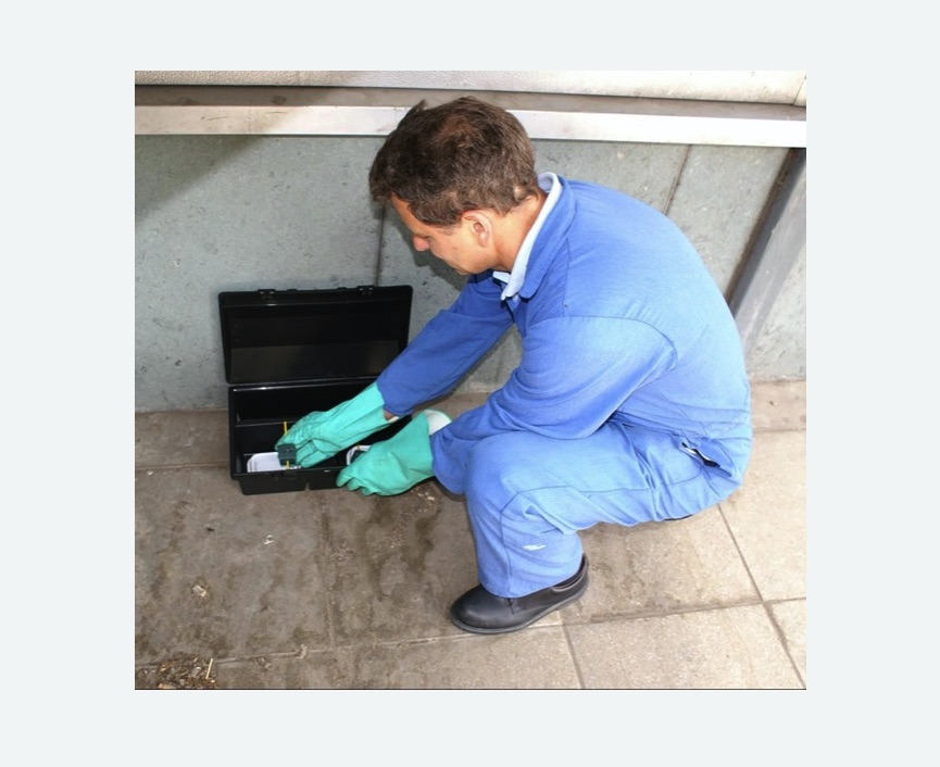 Дератизация помещения в Гребнево Дератизация помещения