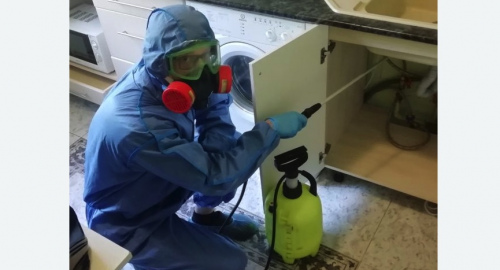 Уничтожение муравьев в квартире. Гребнево