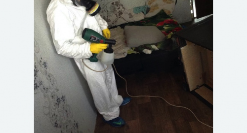 Обработка квартир от насекомых в Гребнево