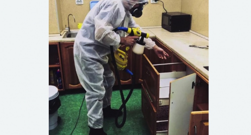 Дезинсекция квартиры. Гребнево