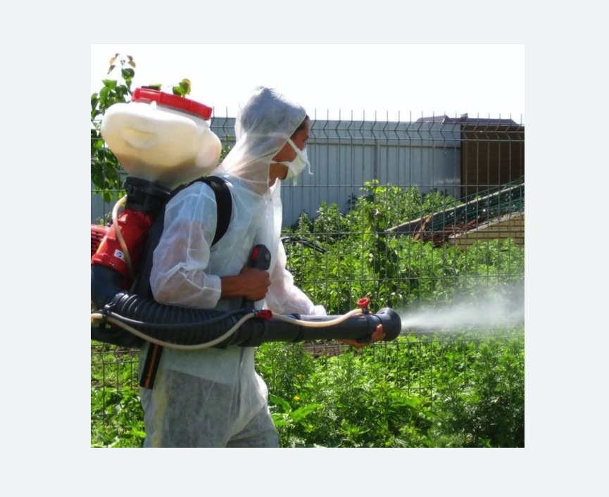 Акарицидная обработка территории в Гребнево