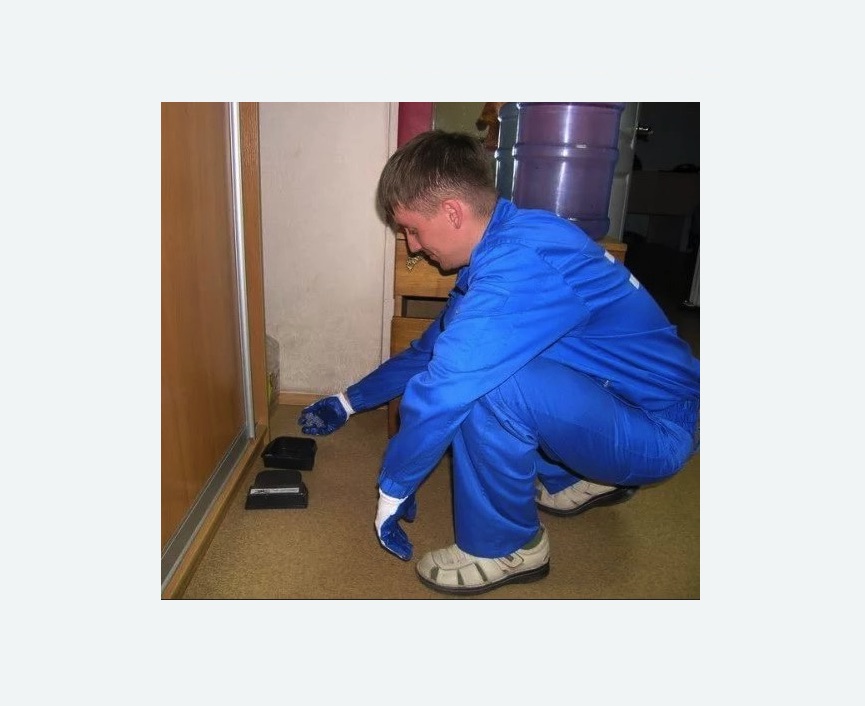 Дератизация крыс в Гребнево