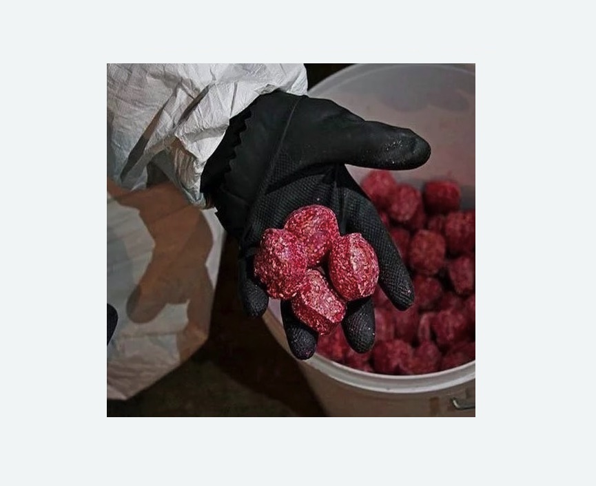 Обработка от крыс в Гребнево