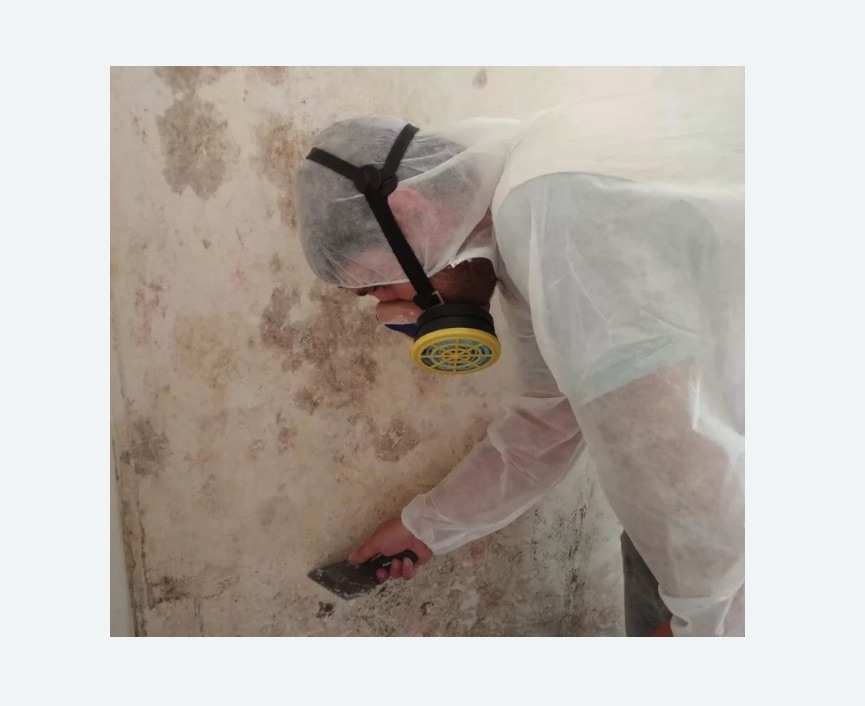 Обработка стен от плесени в Гребнево