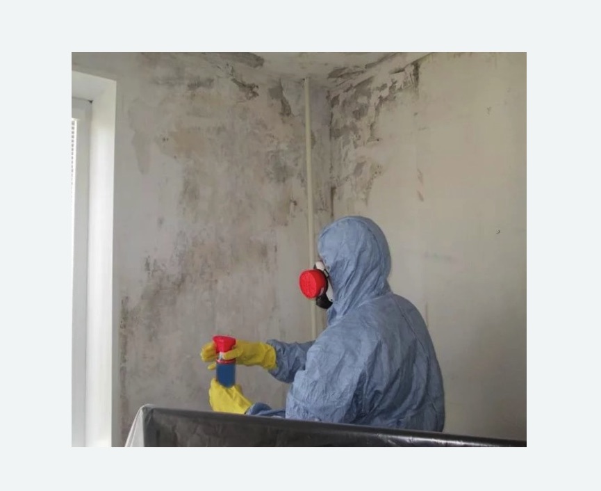 Удаление плесени в квартире в Гребнево
