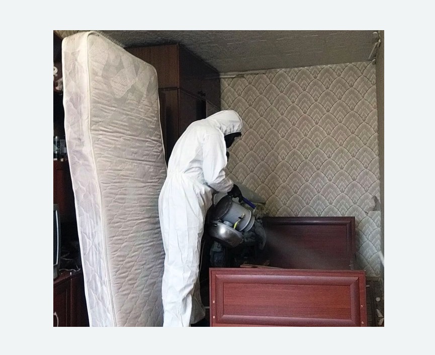 дезинфекция от клопов в Гребнево