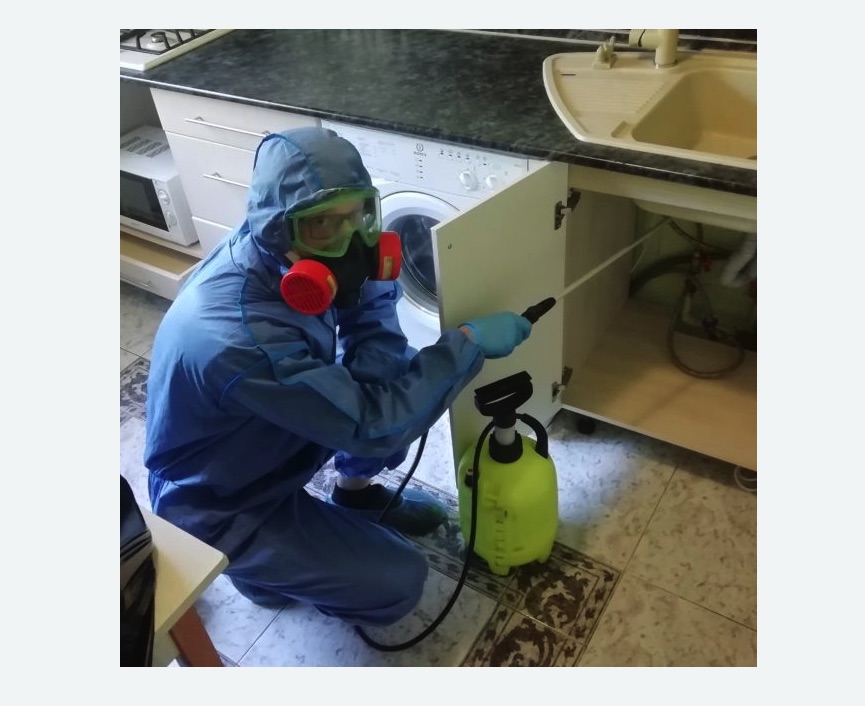 обработка от муравьев в квартире в Гребнево