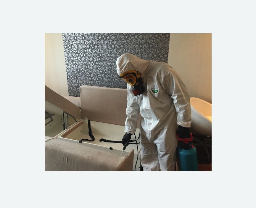 уничтожение клопов в квартире в Гребнево