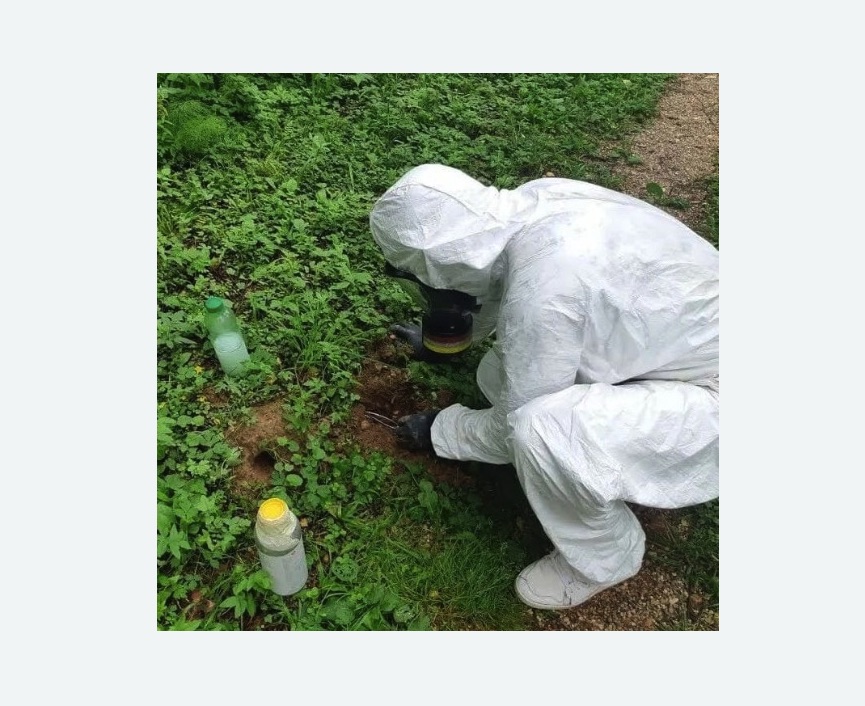 уничтожение кротов на участке в Гребнево