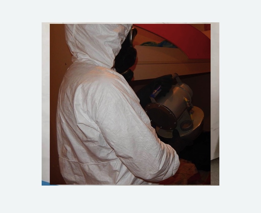 Дезинфекция от муравьев в Гребнево