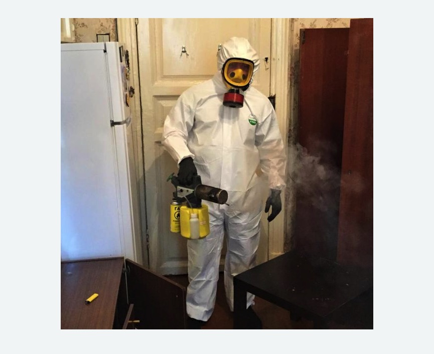 уничтожение муравьев в квартире в Гребнево